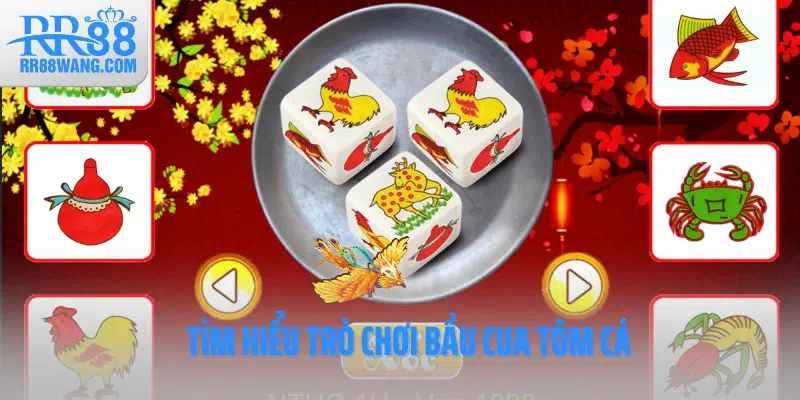 Tìm hiểu trò chơi bầu cua tôm cá